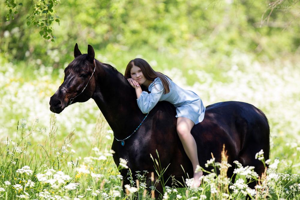  лошади и люди  ◆ horse and human