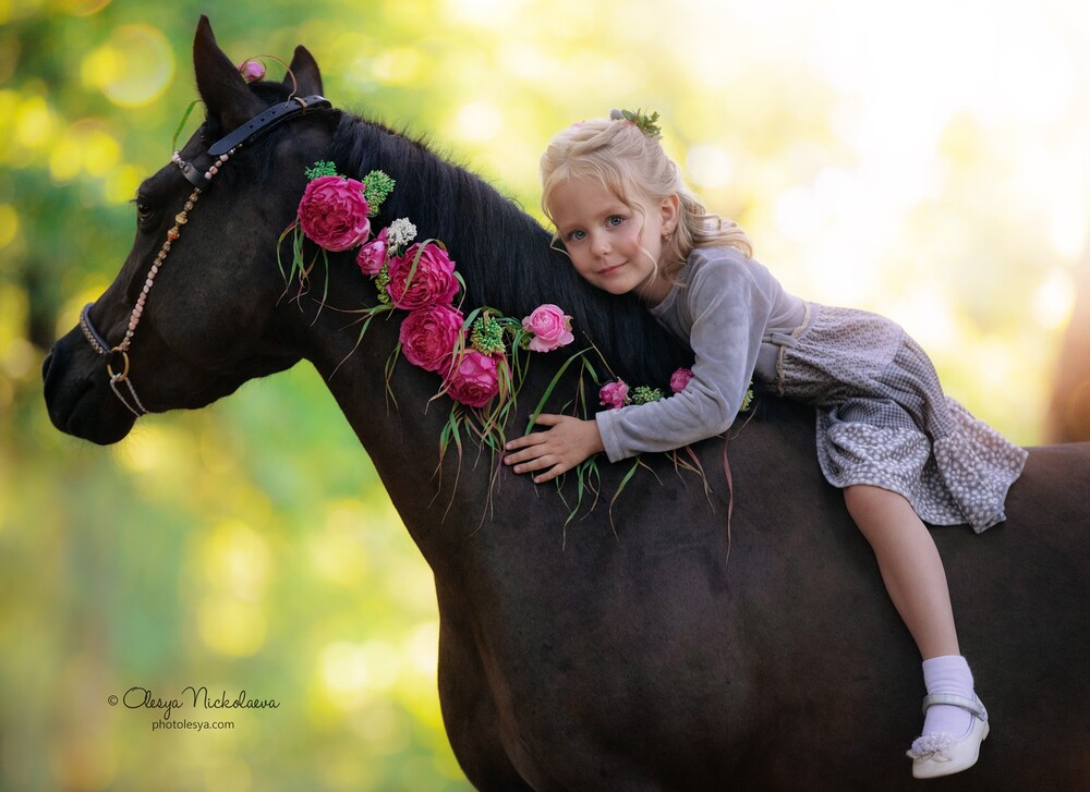  лошади и люди  ◆ horse and human