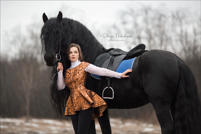  лошади и люди  ◆ horse and human
