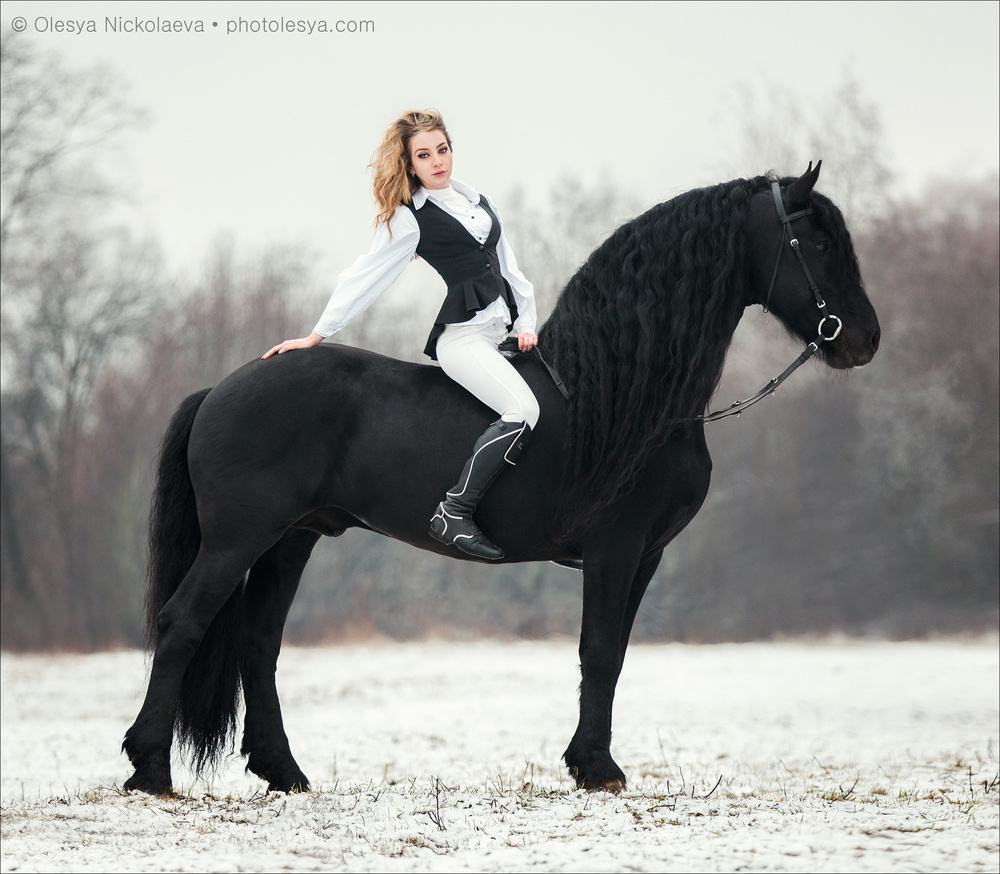 лошади и люди  ◆ horse and human