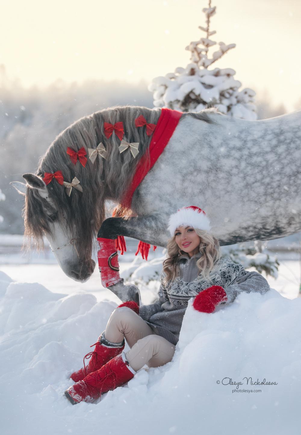  лошади и люди  ◆ horse and human