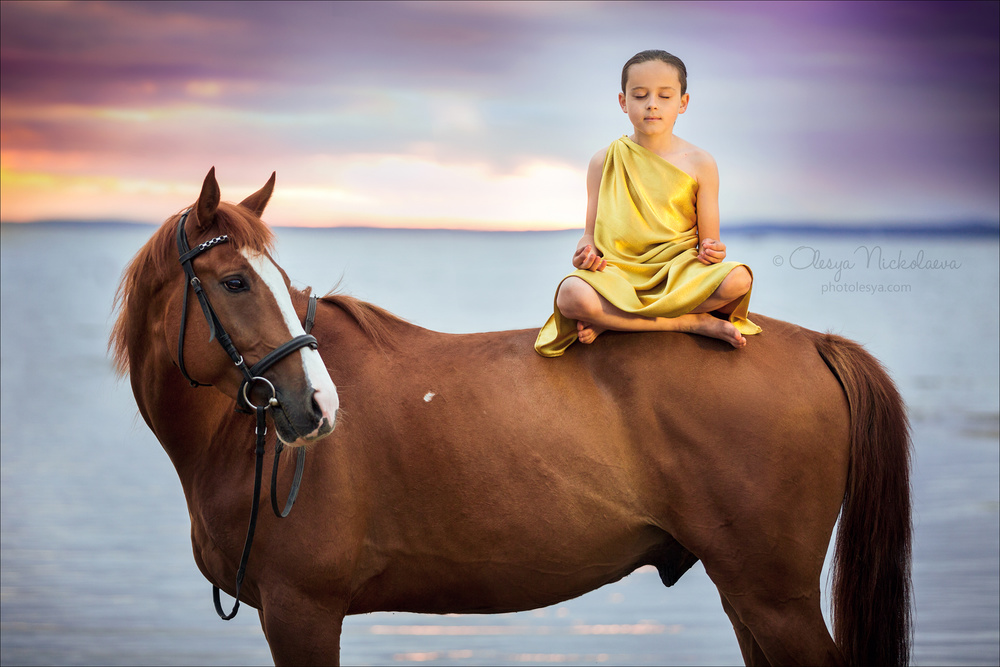  лошади и люди  ◆ horse and human