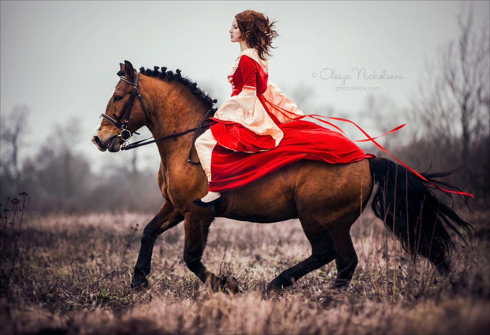  лошади и люди  ◆ horse and human