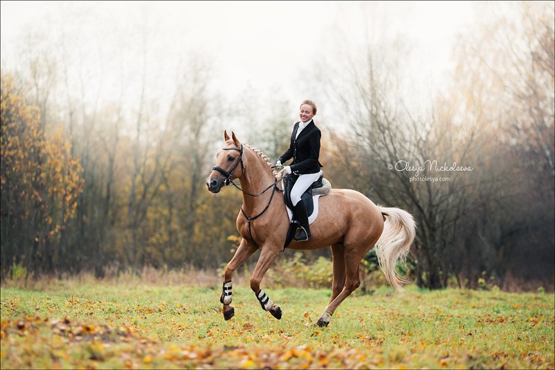  лошади и люди  ◆ horse and human