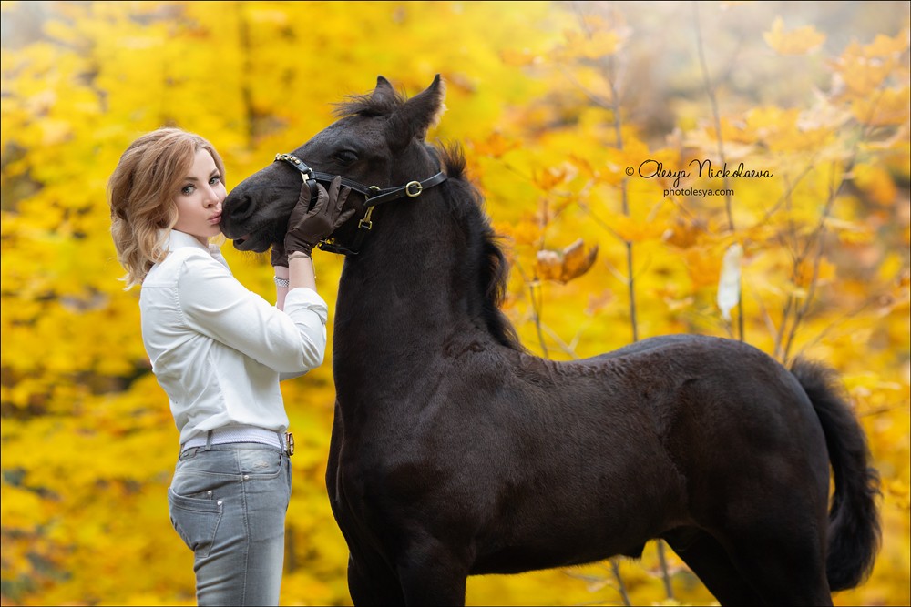  лошади и люди  ◆ horse and human