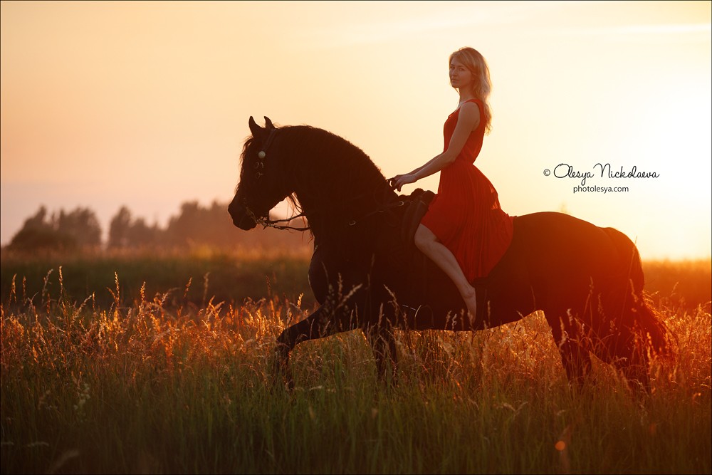  лошади и люди  ◆ horse and human