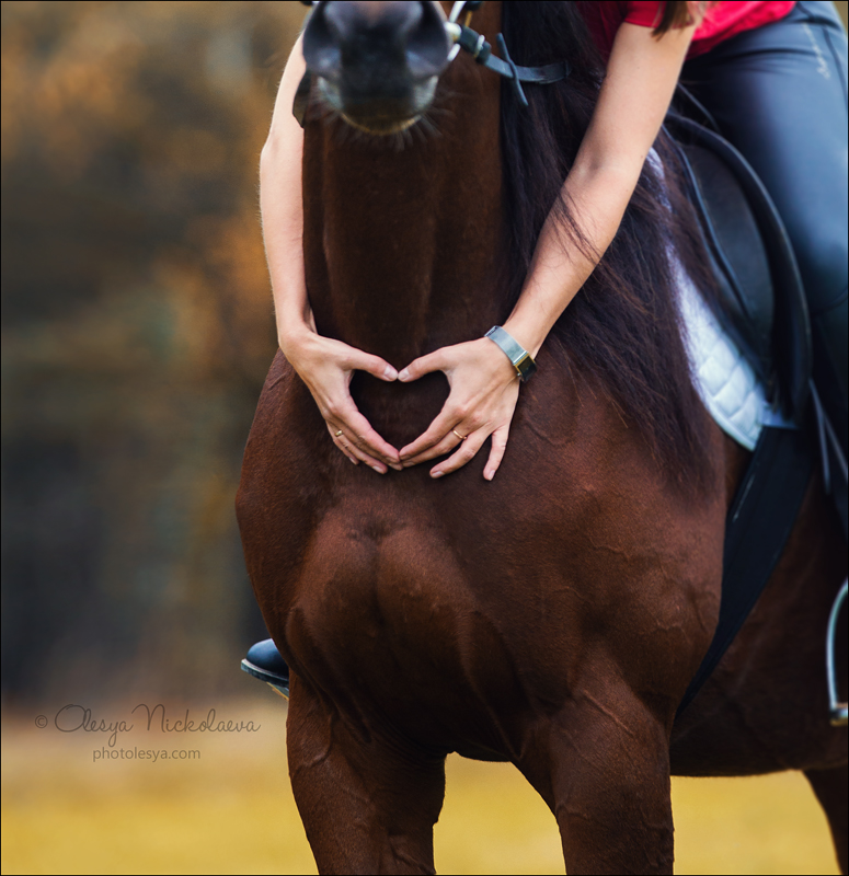  лошади и люди  ◆ horse and human