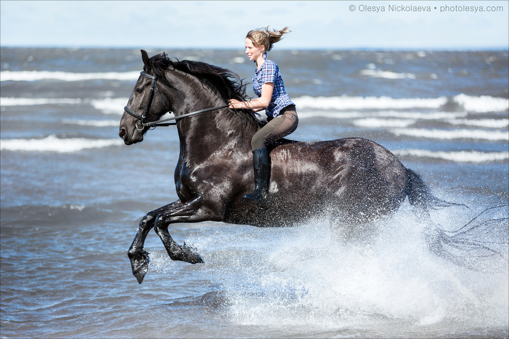  лошади и люди  ◆ horse and human