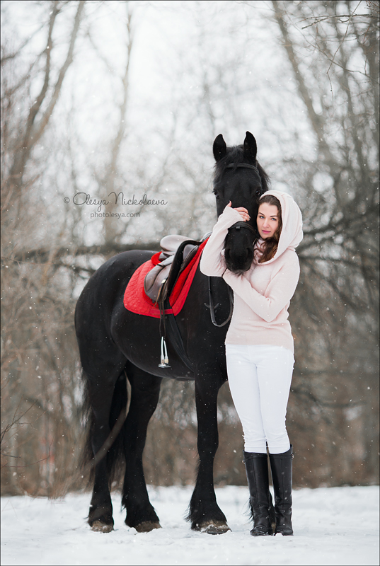  лошади и люди  ◆ horse and human