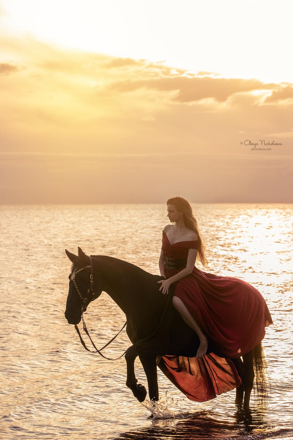  лошади и люди  ◆ horse and human