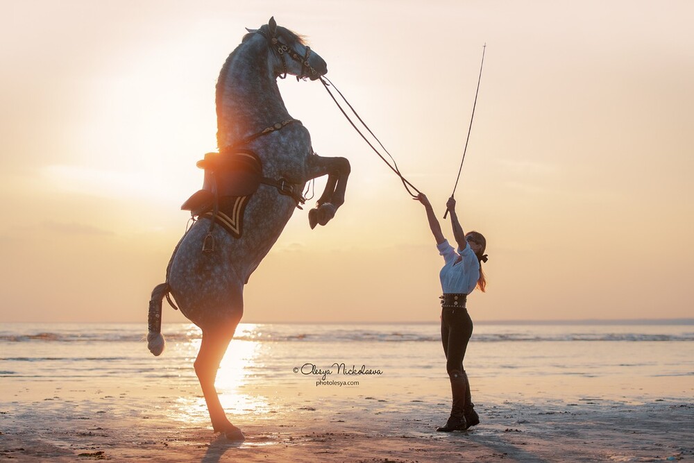  лошади и люди  ◆ horse and human