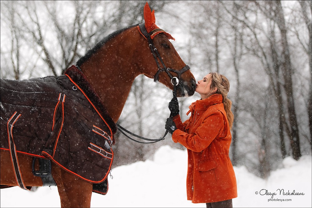  лошади и люди  ◆ horse and human