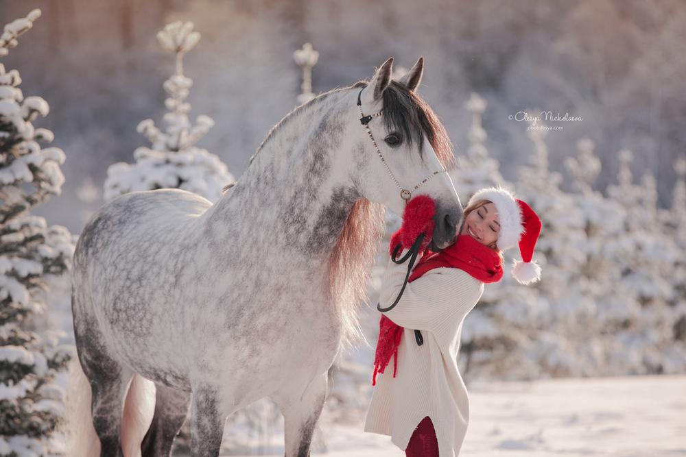  лошади и люди  ◆ horse and human