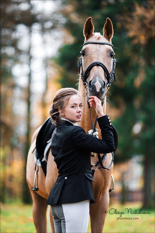  лошади и люди  ◆ horse and human