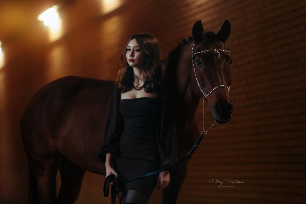  лошади и люди  ◆ horse and human