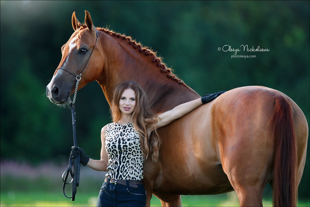  лошади и люди  ◆ horse and human