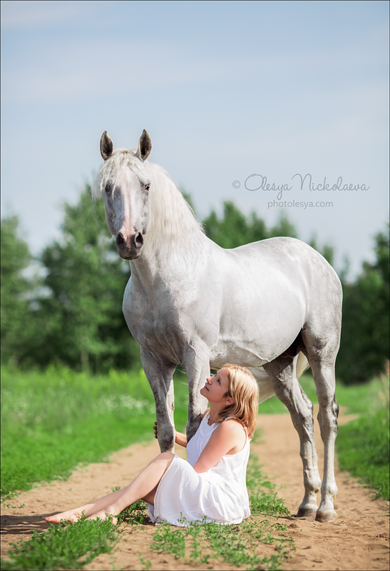  лошади и люди  ◆ horse and human