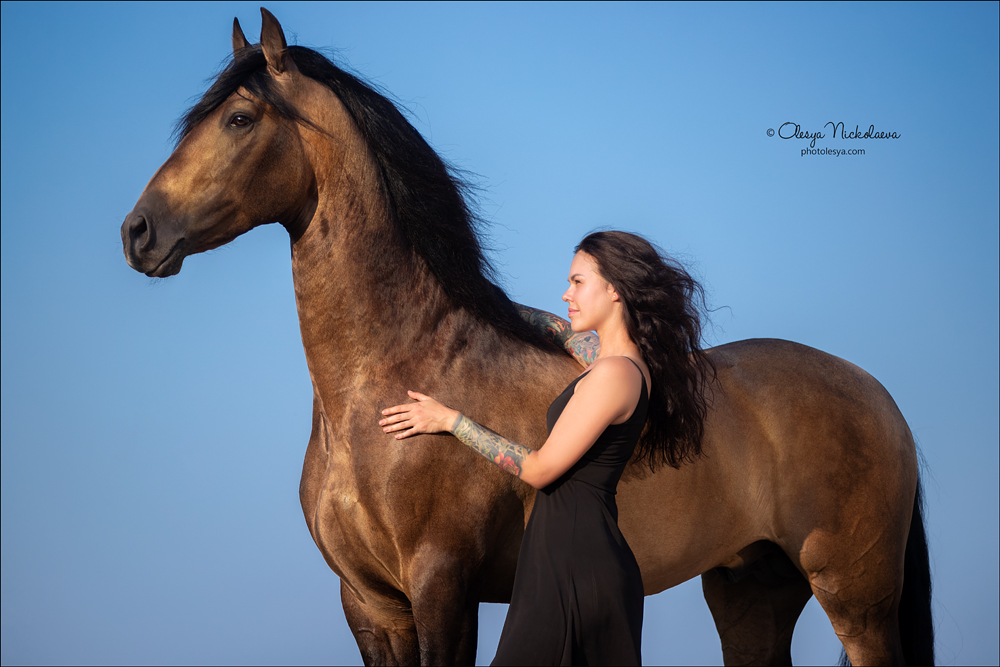  лошади и люди  ◆ horse and human