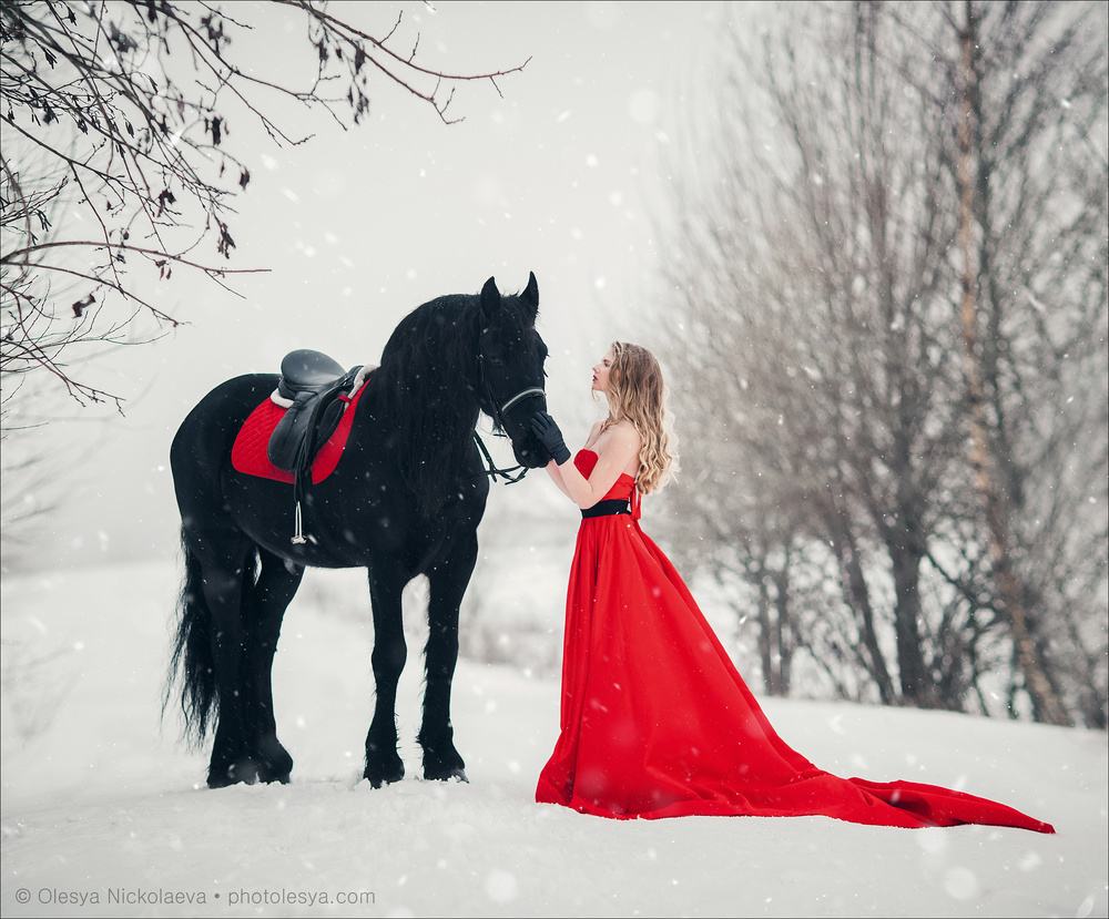 лошади и люди  ◆ horse and human
