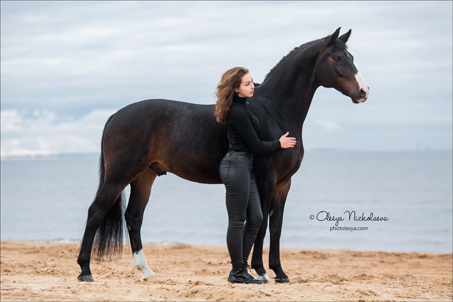  лошади и люди  ◆ horse and human