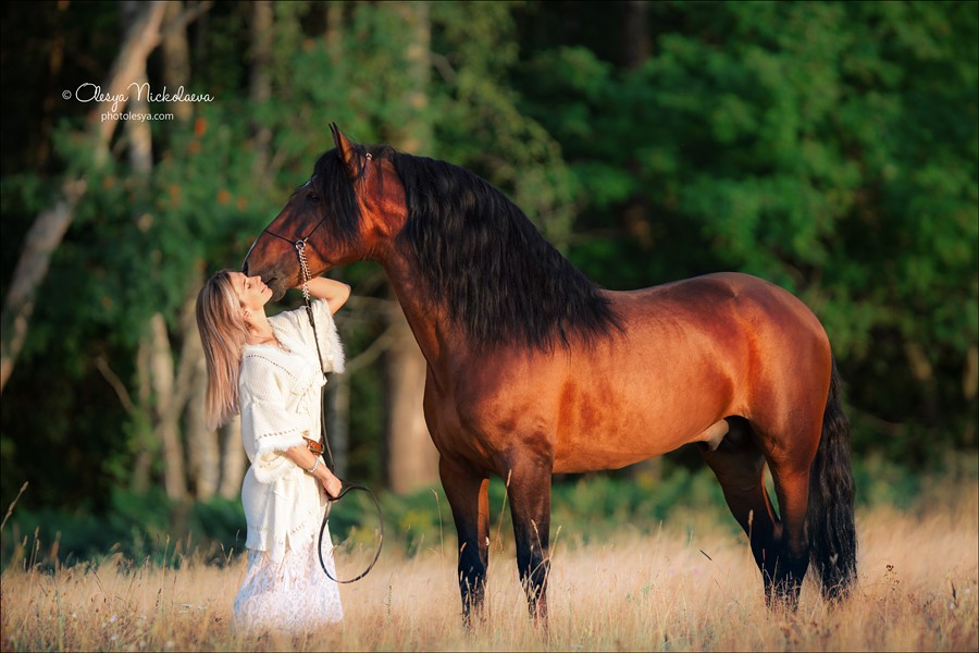 лошади и люди  ◆ horse and human