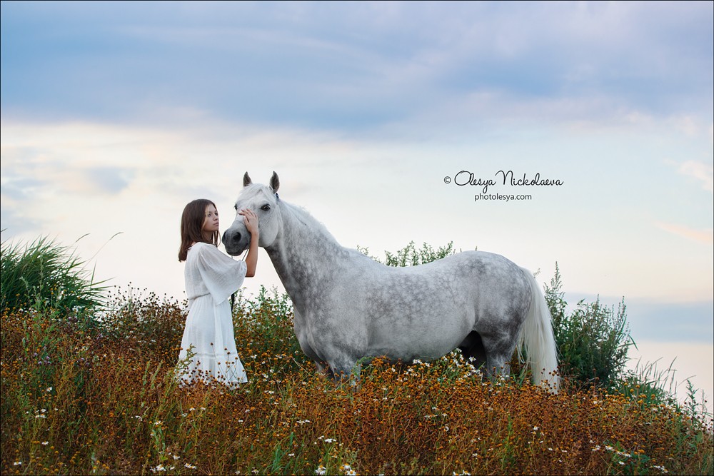  лошади и люди  ◆ horse and human