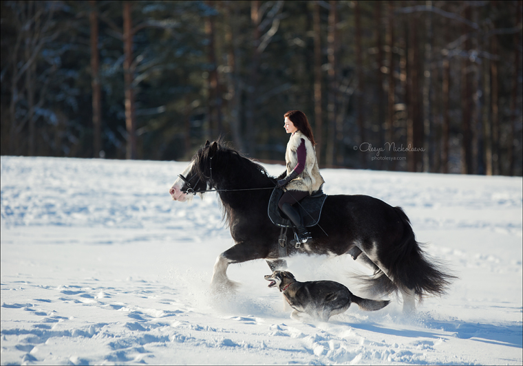  лошади и люди  ◆ horse and human