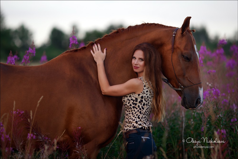  лошади и люди  ◆ horse and human
