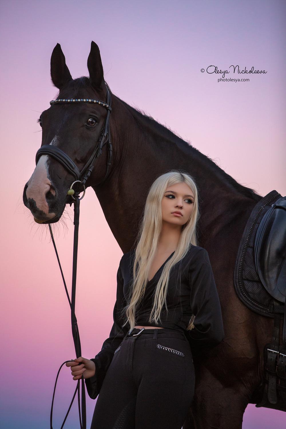  лошади и люди  ◆ horse and human