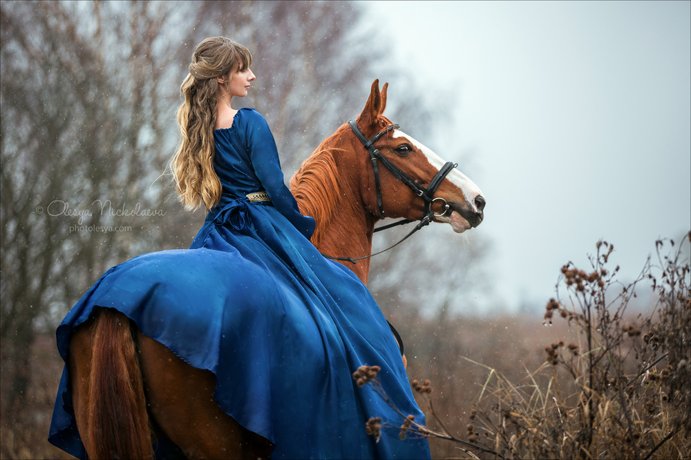  лошади и люди  ◆ horse and human