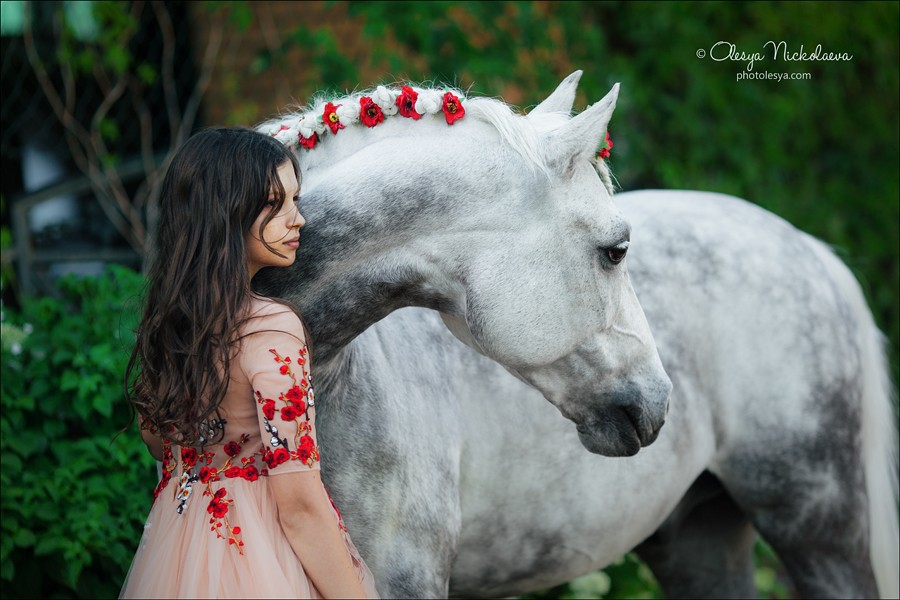  лошади и люди  ◆ horse and human