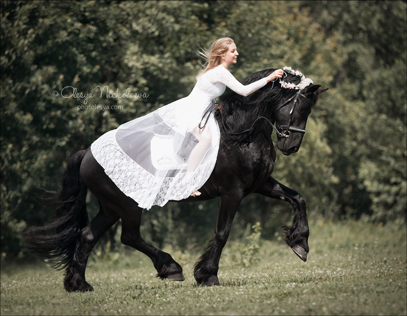  лошади и люди  ◆ horse and human