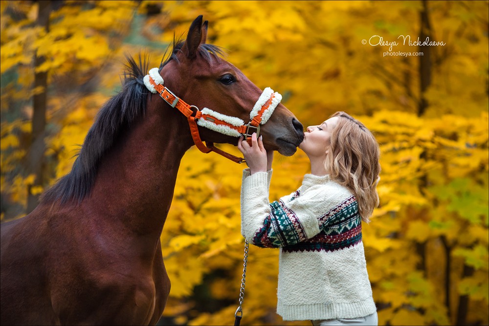 лошади и люди  ◆ horse and human
