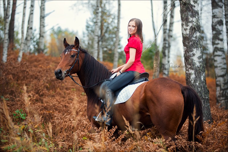  лошади и люди  ◆ horse and human