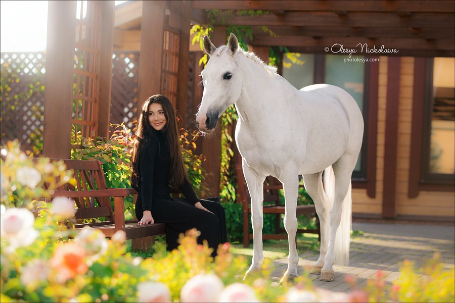  лошади и люди  ◆ horse and human