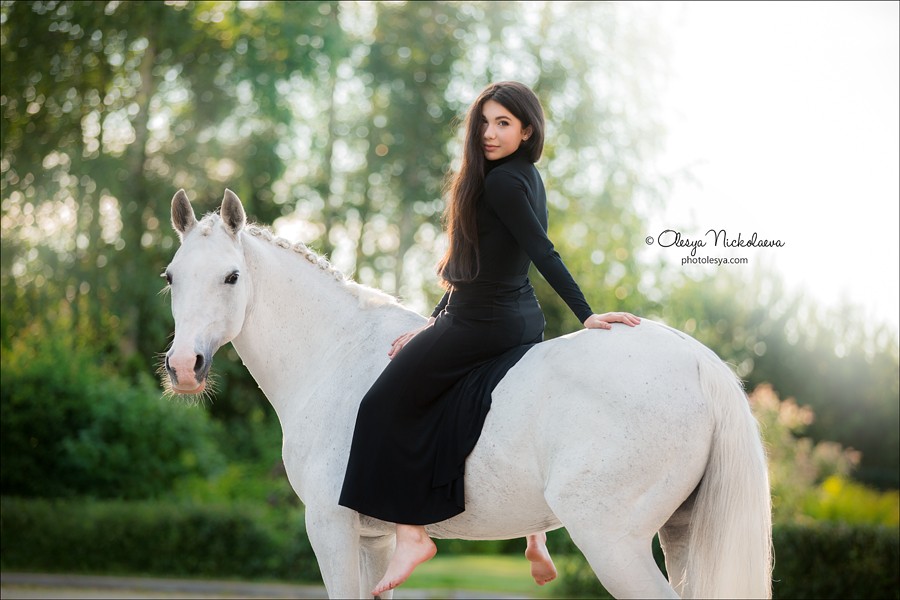  лошади и люди  ◆ horse and human