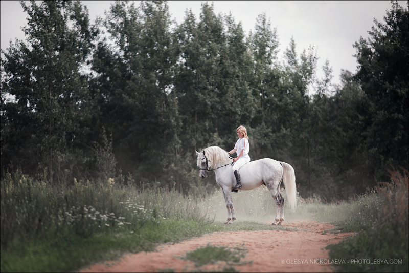  лошади и люди  ◆ horse and human