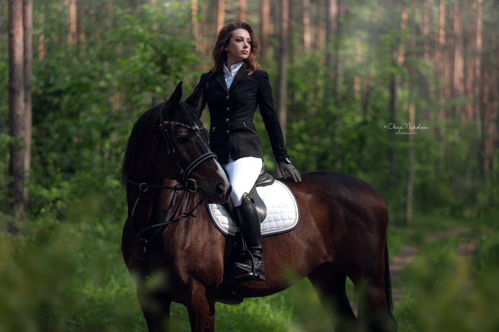  лошади и люди  ◆ horse and human