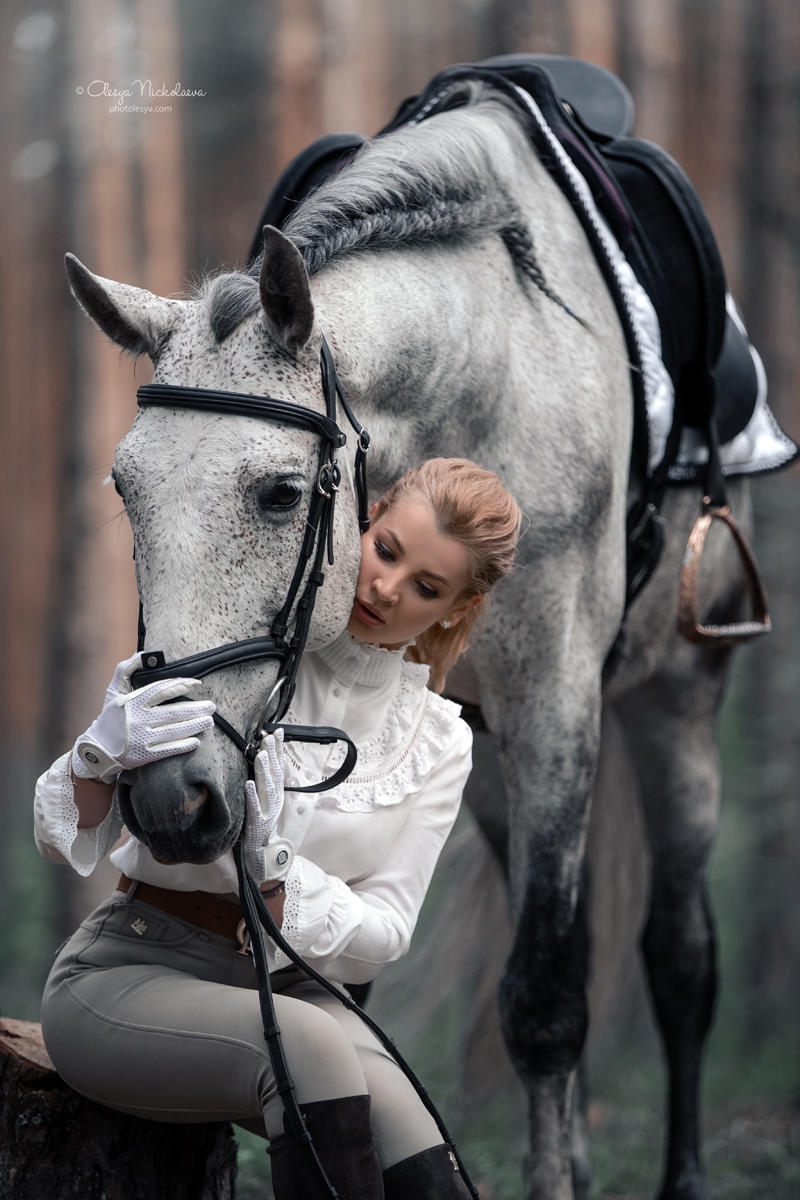  лошади и люди  ◆ horse and human