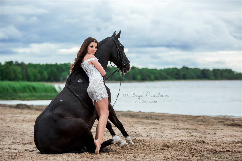  лошади и люди  ◆ horse and human