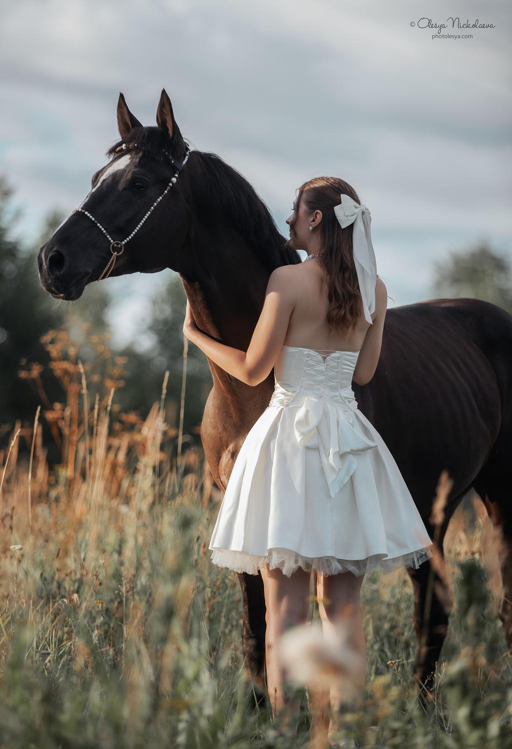  лошади и люди  ◆ horse and human