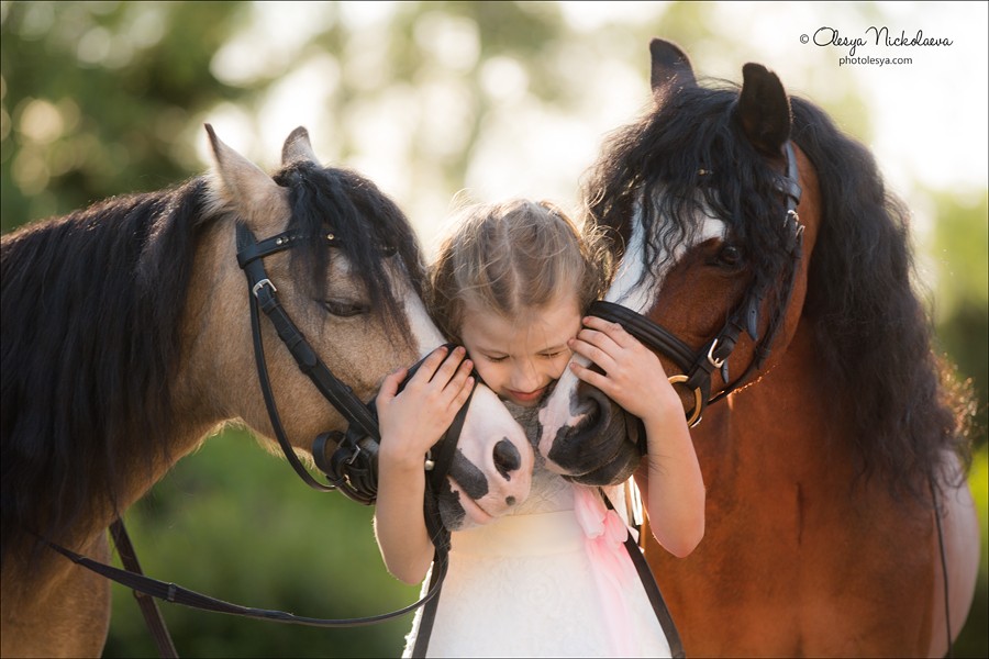  лошади и люди  ◆ horse and human