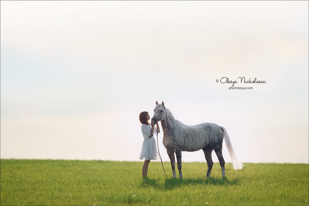  лошади и люди  ◆ horse and human