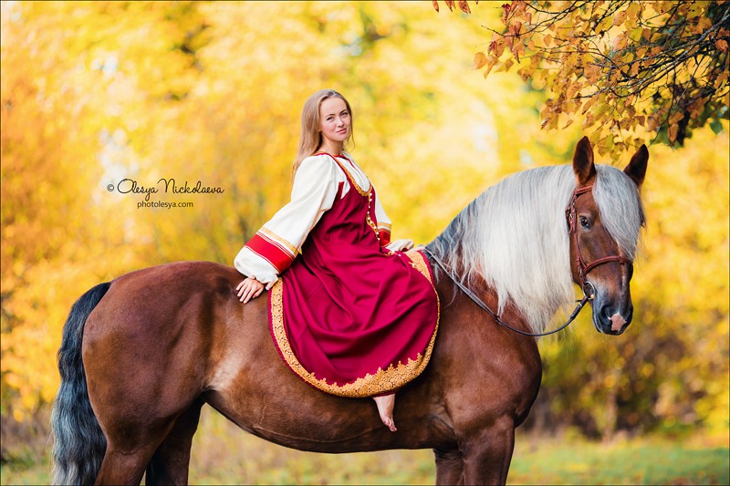  лошади и люди  ◆ horse and human