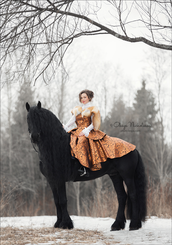  лошади и люди  ◆ horse and human