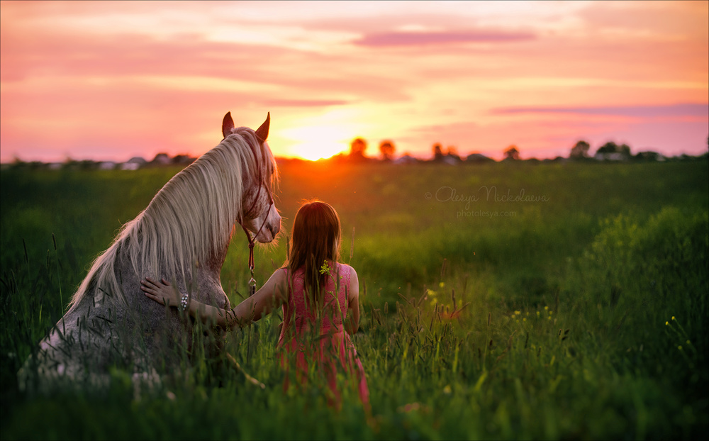  лошади и люди  ◆ horse and human
