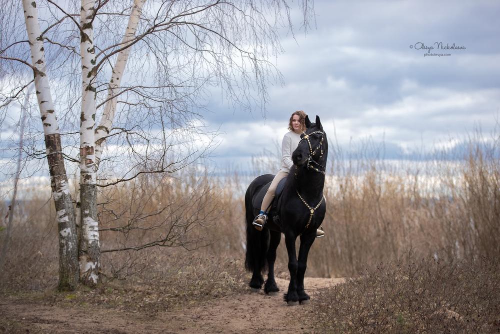  лошади и люди  ◆ horse and human