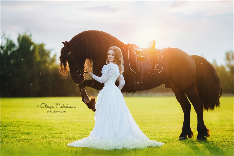  лошади и люди  ◆ horse and human