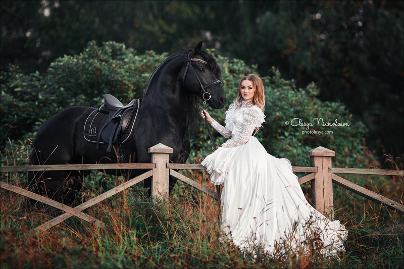  лошади и люди  ◆ horse and human