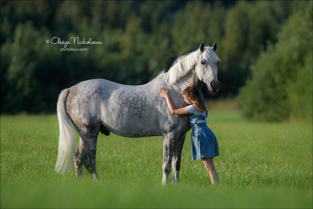  лошади и люди  ◆ horse and human